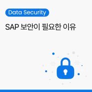 [데이터 보안] SAP 보안이 필요한 이유