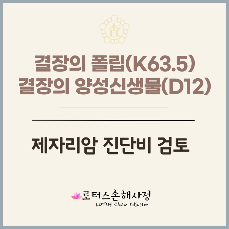 제주손해사정사 대장내시경 후 결장의 폴립 (K63.5) 제자리암 진단비 검토 : 네이버 블로그