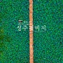 경북 성주 뒷미지 수변공원 연꽃상황 성주 명소