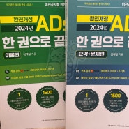 ADsP 교재 책 추천 벼락 공부법 황소 ADsP