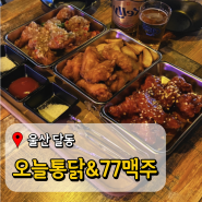 울산 달동치킨 오늘통닭 시원한 켈리와 윙봉삼총사