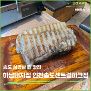 송도 삼겹살 맛집 하남돼지집 인천송도센트럴파크점