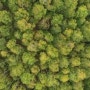 산림기사 접수 산림기사 취득자격 집에서 온라인으로 1학기에 준비한 전략