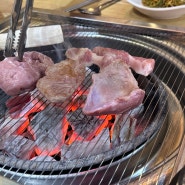광주 풍암동 고기집 통큰고기 참숯구이 후기