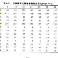 가공 과정 중 테아닌의 함량 변화