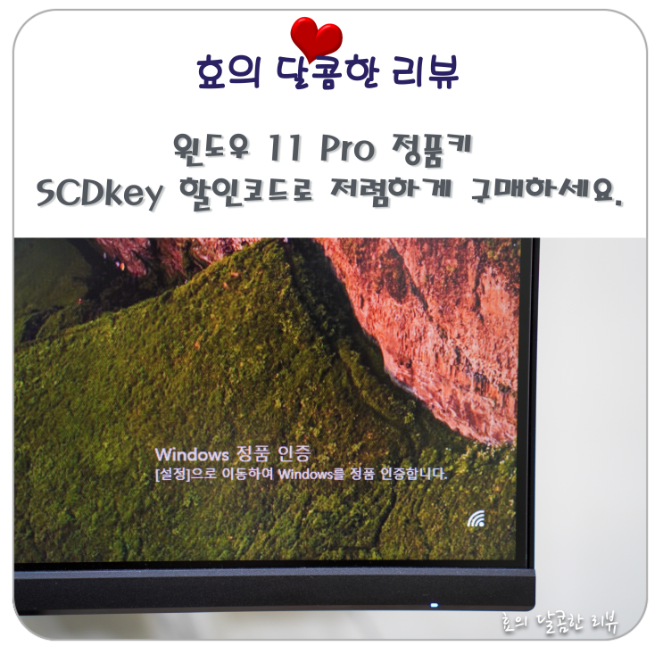 윈도우 11 정품키 SCDkey 할인코드로 저렴하게 구매하세요. : 네이버 블로그