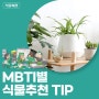 MBTI별 맞춤형 식물 추천 - 농플루언서 식물회관