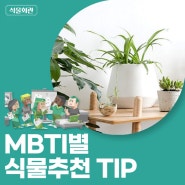 MBTI별 맞춤형 식물 추천 - 농플루언서 식물회관