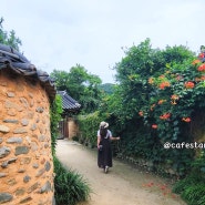 산청 남사예담촌 여름 꽃과 한옥 돌담길 풍경에 젖어볼까