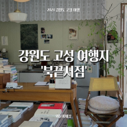 강원도 고성 여행, '북끝서점' 작은 카페, 맹그로브 백촌막국수 근처 가볼만한곳 여행지 추천