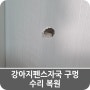 강아지펜스자국 구멍 수리 복원