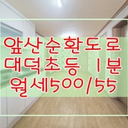 대구 남구 대명동 앞산아래 공기좋고 탁 트인 쓰리룸 월세-500만/55만