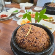 [김포] 삼태기 | 구수한 상황버섯 삼계탕이 맛있는 김포 감정동 맛집