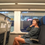 스카이라이너 가격 노선 타는곳 나리타 공항에서 시내 도쿄 자유여행