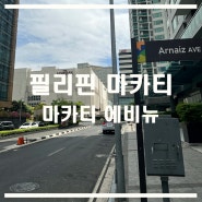 동남아시아 필리핀 여행 마닐라 마카티 에비뉴 쇼핑몰 마카티 거리 비트레스 헤어에센스