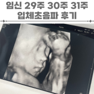 임신 29주 30주 31주 증상들 입체초음파 후기