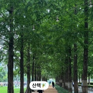 송상현광장에서의 여유로운 산책