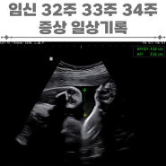 임신 32주 33주 34주 시기 증상 임산부 일상