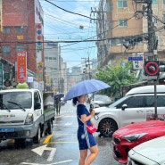 7/21~7/27 출장&휴가 일상 포토덤프📸