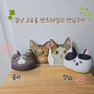 고양이 애착인형 장난감 고로롱 캣닢 쿠션