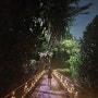 [7월의 일상] 제 2의 고향 방문 - 티웨이 싱가포르 노선 / 싱가포르 나이트 사파리 / 후아유우ㅣ / 이스트코스트 파크 / JB