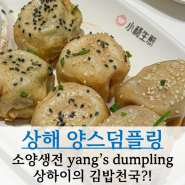 상하이 맛집 양스덤플링 소양생전 혼밥 후기