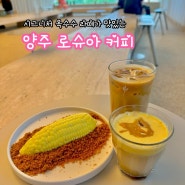 양주 로슈아커피_옥수수 디저트와 커피가 맛있는 양주 카페