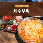 제주 고기국수 맛집, 공항에서 가까운 '제주부엌' 접짝뼈국수 후기!