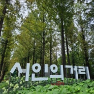 서울 상암 올림픽공원 하늘공원 메타세쿼이아길 시인의거리 맨발길 7월 맥문동