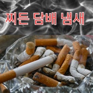 ✨찌든 담배 냄새 탈출✨ | 연산동 전자담배<뉴턴 전자담배>에서 해결하기😊