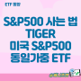 S&P500 사는 법에 대한 새로운 고찰, tiger 미국S&P500 동일가중