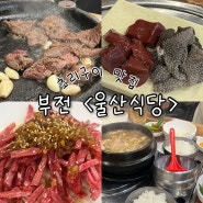 부산: 부전 노포맛집 초리구이 <울산식당> 코스요리