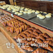 안동 맘모스제과 본점 유자파운드 크림치즈빵 포장 오픈런 후기