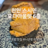 천안 모다아울렛 6층 스시덴 회전초밥 후기, 우니군함 솔직후기 :)