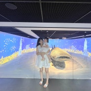 동래 아기랑 실내 갈만한 곳 부산 해양 자연사 박물관 (무료, 주차정보, 들락날락)