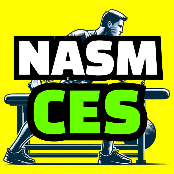 NASM CES, 학위부터 온라인으로 맞추자 : 네이버 블로그