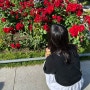 일본 오사카 나카노시마 장미 공원, 데이트 여행 가볼만한 곳 추천