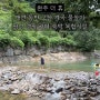 전주 대전 근교 완주 고산 계곡 카페 [더 휴] 애견 동반 가능