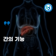 간의 기능