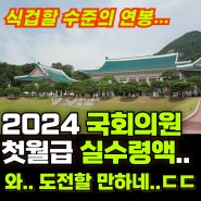 국회의원 2024년 첫달 월급 실수령액 - 이준석, 통장에 꽂힌 금액 밝힘...ㄷㄷ