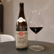 [이태리 와인] 에미디오 페페, 몬테풀치아노 다브루쪼 2015 (Emidio Pepe, Montepulciano d'Abruzzo 2015)