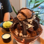 [동탄호수공원 빙수] 설빙 "동탄호수공원 팥빙수/아이스크림 맛집/하겐다즈초코설빙 후기"