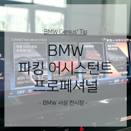 BMW 파킹 어시스턴트 프로패셔널 구입방법 (PC버전)