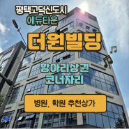 평택 고덕 에듀타운 항아리상권 코너 프라자상가 더원빌딩 정보 (병원, 학원 추천상가)