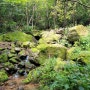 산림정원 라엘의 숲 장마철 농장관리 작업로와 산책로 풀베기