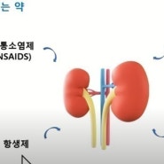 신장 건강에 대한 중요성