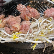 서울 영등포역 양갈비 양고기 맛집 '히츠지야 영등포역점'