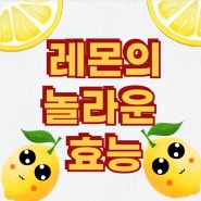 레몬 레몬즙 레몬물 효능 다이어트 디톡스 노화방지 섭취법
