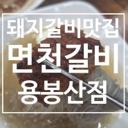 홍성맛집) 내포 갈비 맛집 용봉산 맛집<면천갈비>