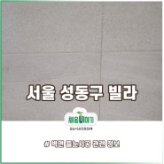 서울줄눈 성동구 송정 주거편의 개선 #벽시공